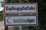 Holdfényliget