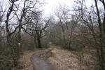Nagy-Hárs-hegy