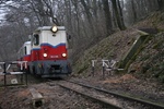 Gyermekvasút