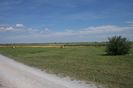 Neusiedler See - Seewinkel