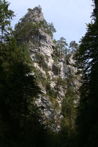 Visszatekintve ő ágaskodik az ég felé